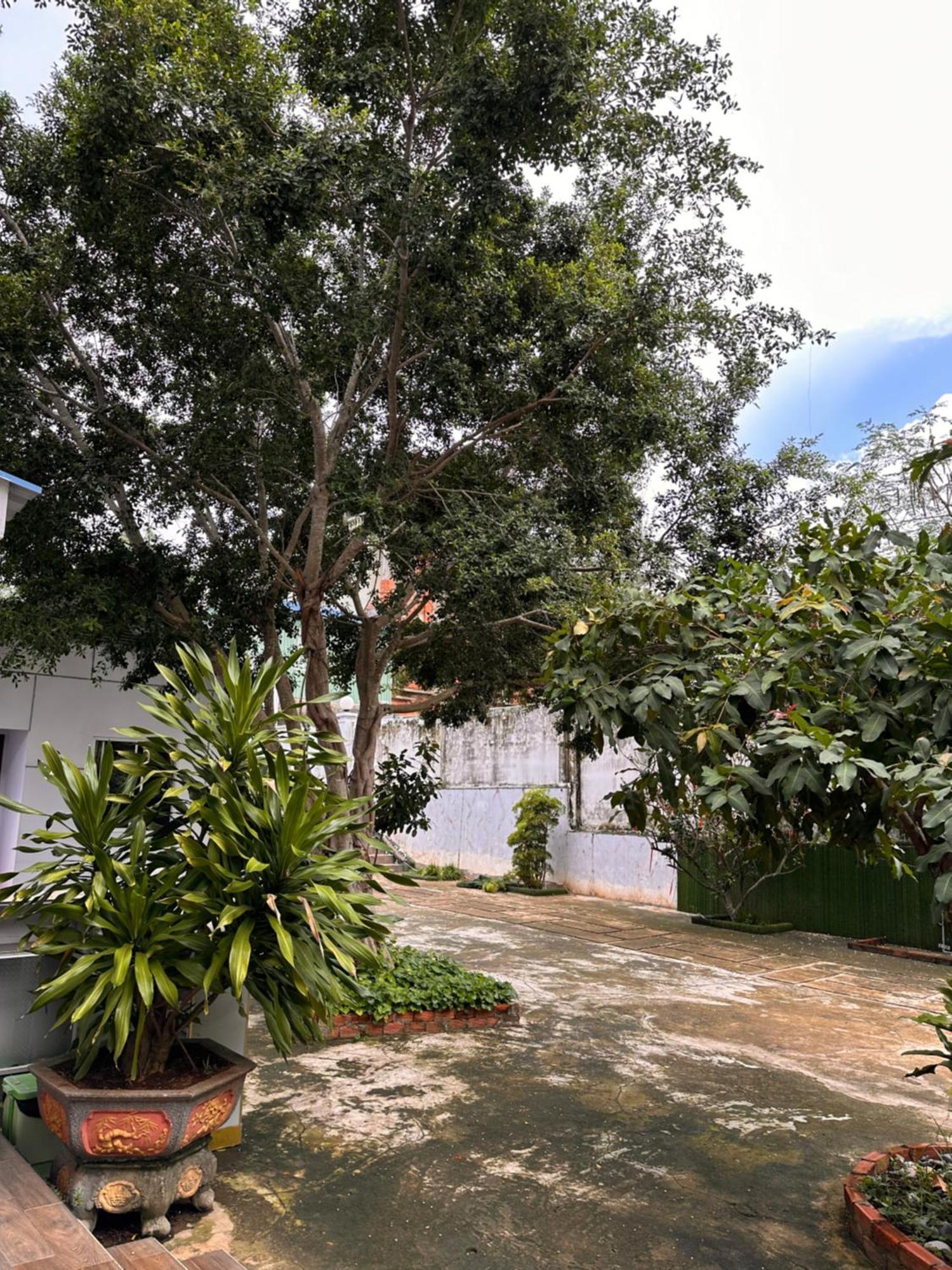 Bungalow Hotel Chi Khu Co Ong Buitenkant foto