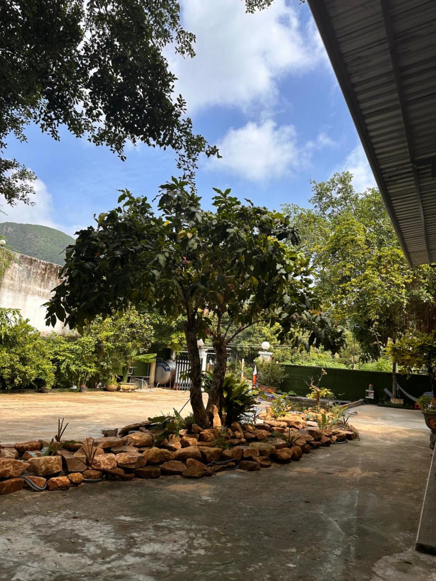 Bungalow Hotel Chi Khu Co Ong Buitenkant foto