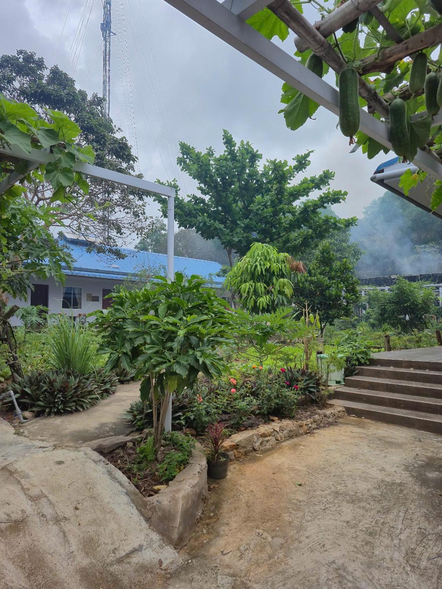 Bungalow Hotel Chi Khu Co Ong Buitenkant foto